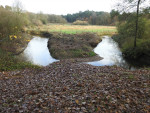 Dinkel in het Lutterzand